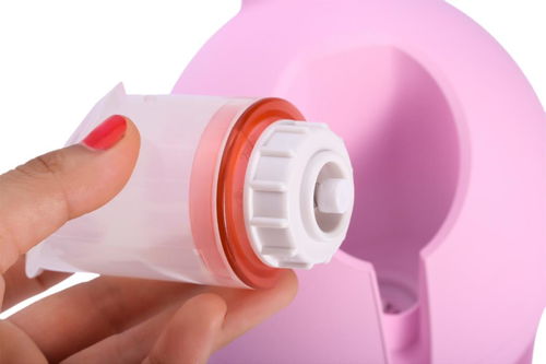 家用美容儀市場(chǎng) 營銷神話與行業(yè)規(guī)范的雙重挑戰(zhàn)